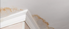 The Ultimate Protection: Schlueter Waterproofing for Impeccable Tiling in Mississauga