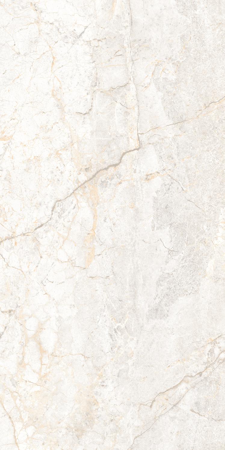 GSI 32x64 Porcelain tile