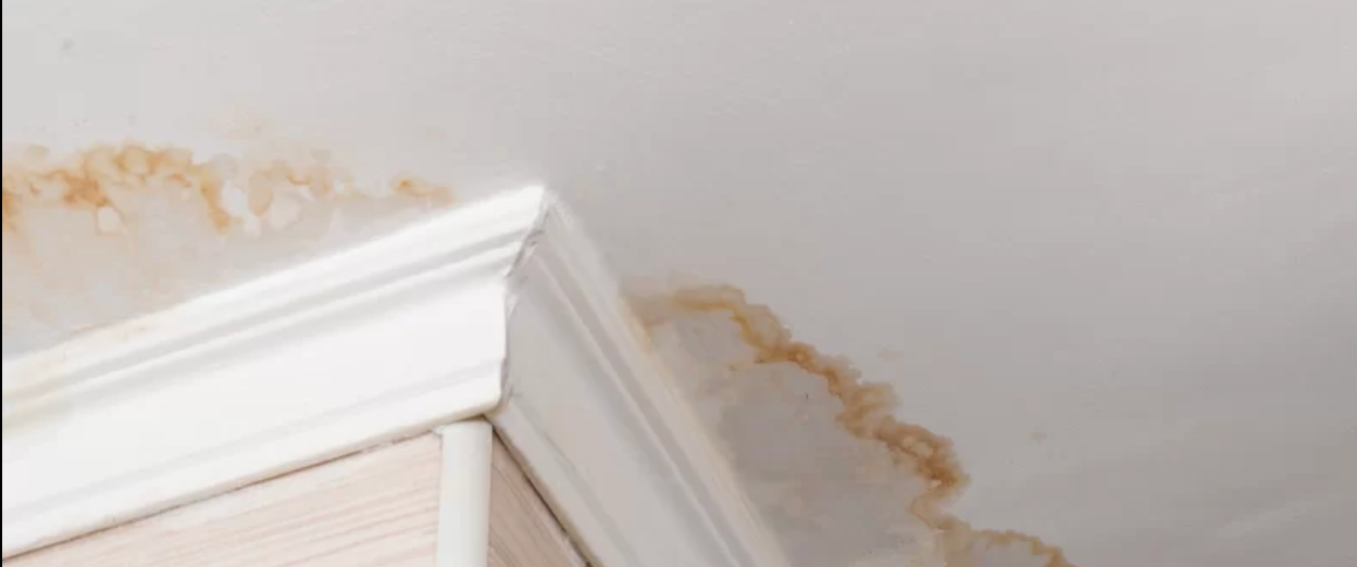 The Ultimate Protection: Schlueter Waterproofing for Impeccable Tiling in Mississauga