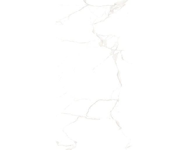 SD 24x48 Porcelain Tile