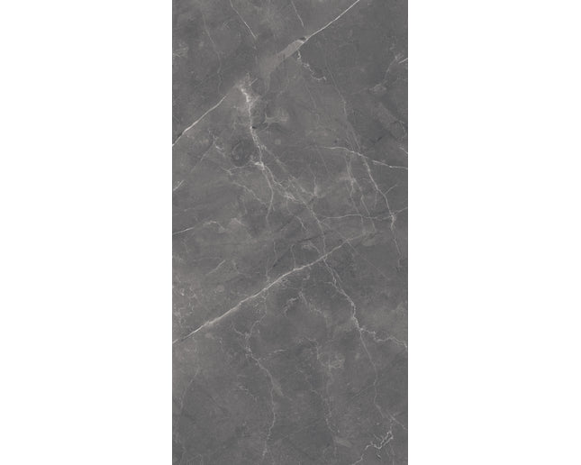SD 24x48 Porcelain Tile