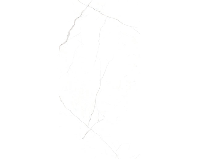 SD 24x48 Porcelain Tile