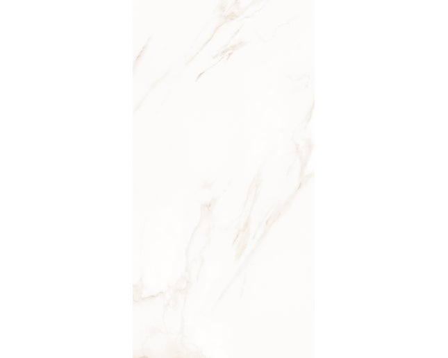 SD 24x48 Porcelain Tile