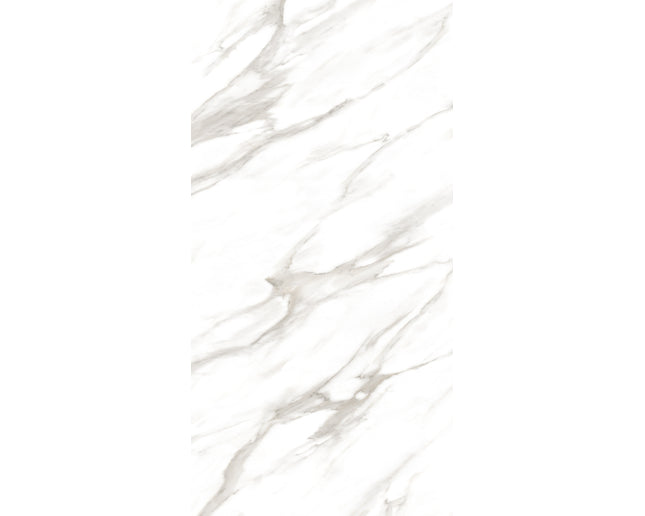 SD 24x48 Porcelain Tile