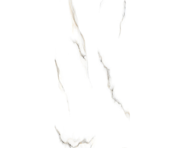 SD 24x48 Porcelain Tile