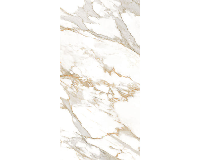 SD 24x48 Porcelain Tile
