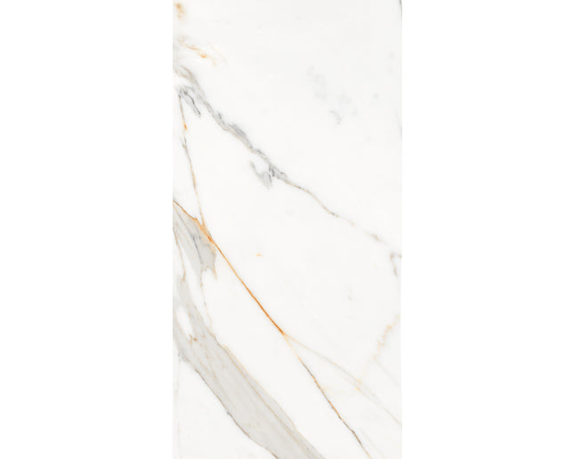 SD 24x48 Porcelain Tile