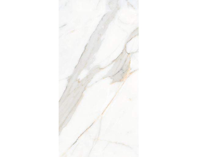 SD 24x48 Porcelain Tile