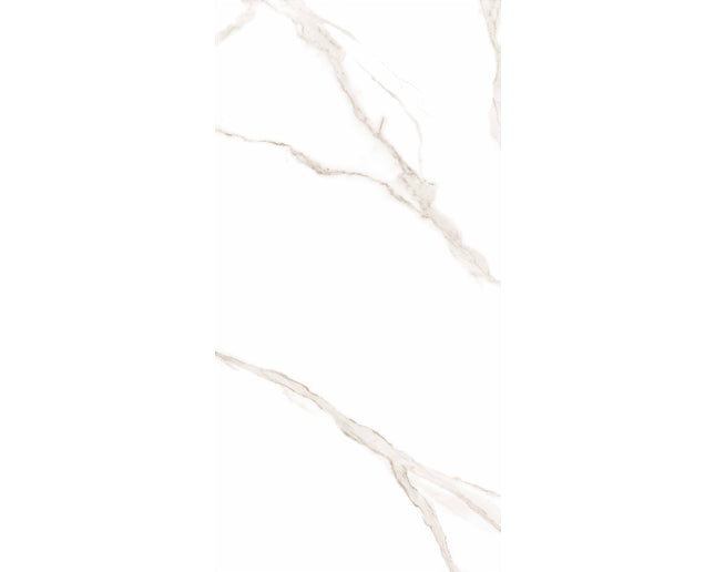 SD 24x48 Porcelain Tile