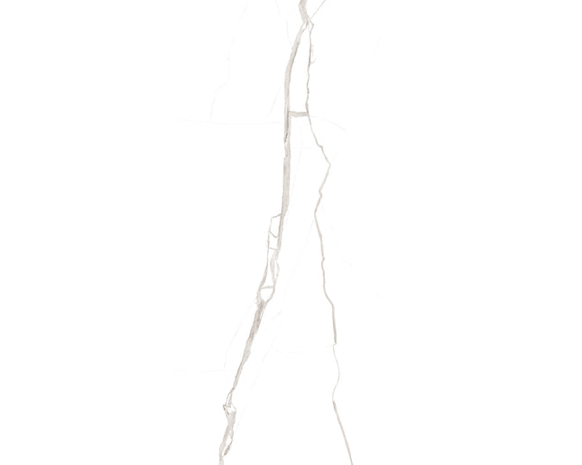 SD 24x48 Porcelain Tile