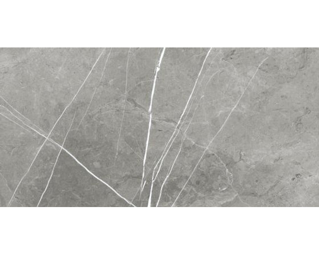 GSI 12x24 tiles