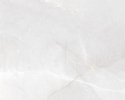 GSI 12x24 Porcelain Tile