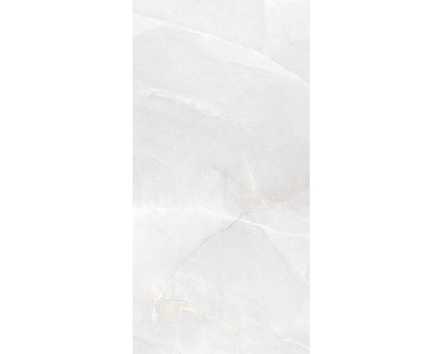 GSI 12x24 Porcelain Tile