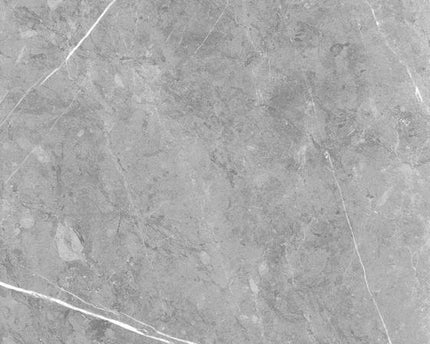 GSI 12x24 Porcelain Tile