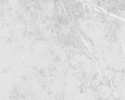 GSI 12x24 Porcelain Tile