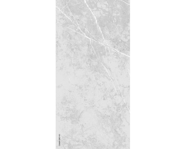 GSI 12x24 Porcelain Tile