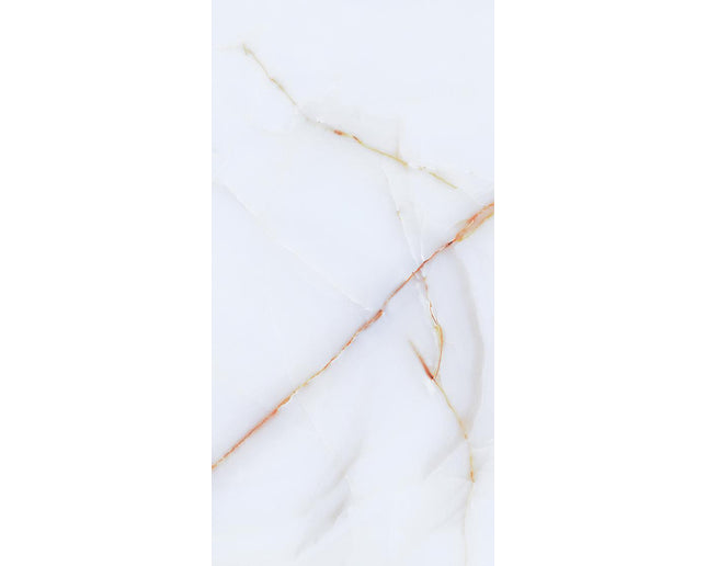 GSI 12x24 Porcelain Tile