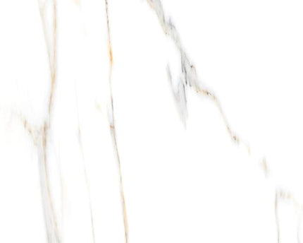 GSI 12x24 Porcelain Tile
