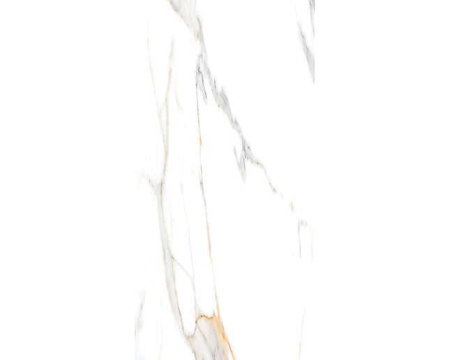 GSI 12x24 Porcelain Tile