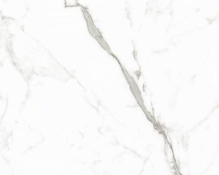 GSI 12x24 Porcelain Tile