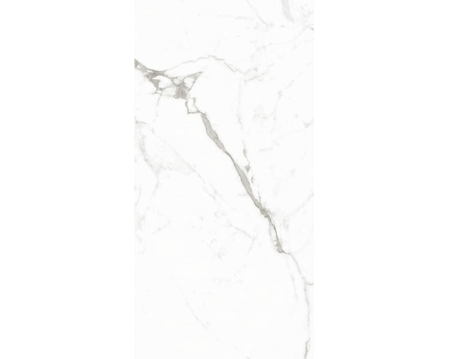 GSI 12x24 Porcelain Tile