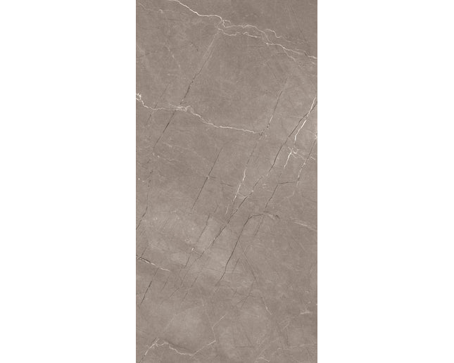GSI 12x24 Porcelain Tile