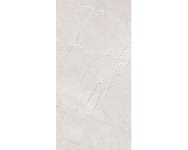 GSI 12x24 Porcelain Tile