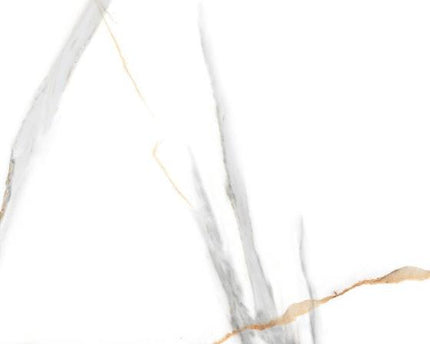 GSI 12x24 Porcelain Tile