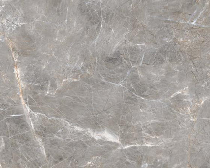 GSI 12x24 Porcelain Tile