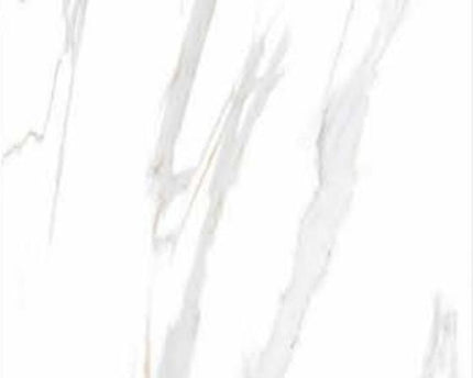 GSI 12x24 Porcelain Tile