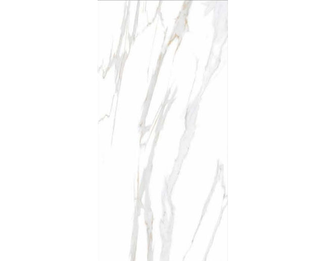GSI 12x24 Porcelain Tile