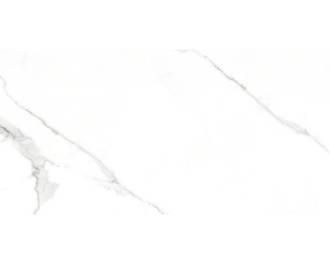 GSI 12x24 tiles