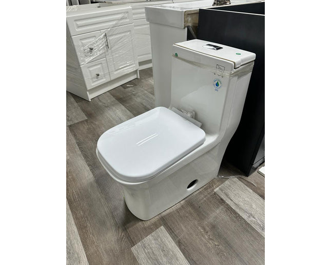 Dual flush Toilet