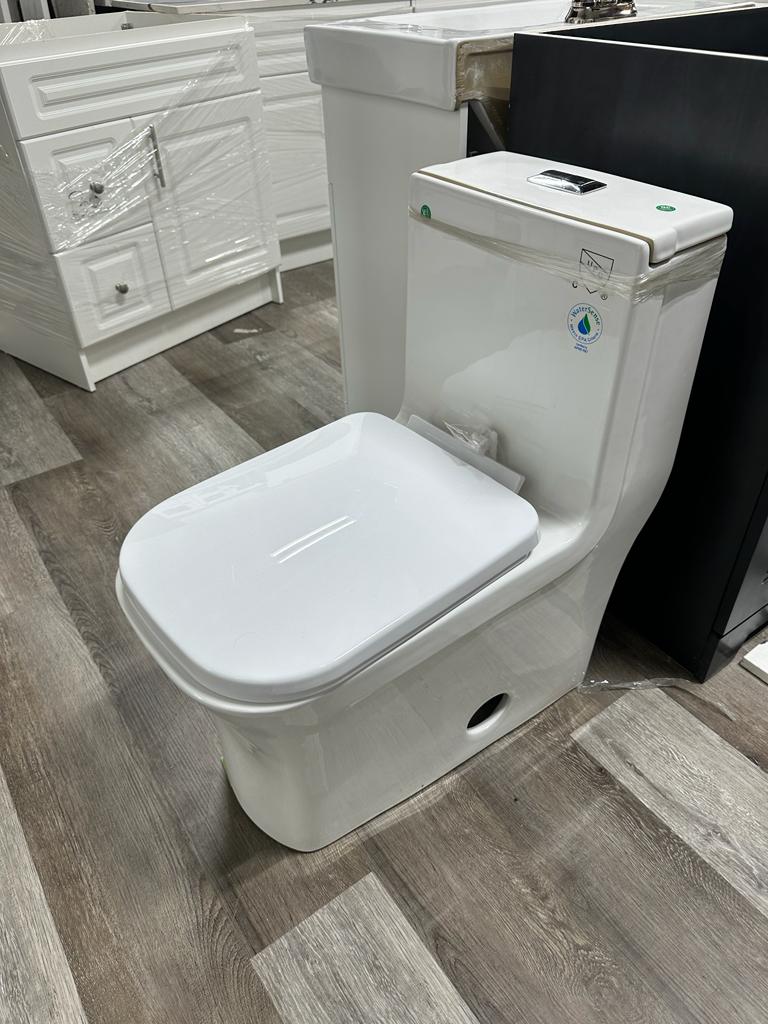 Dual flush Toilet