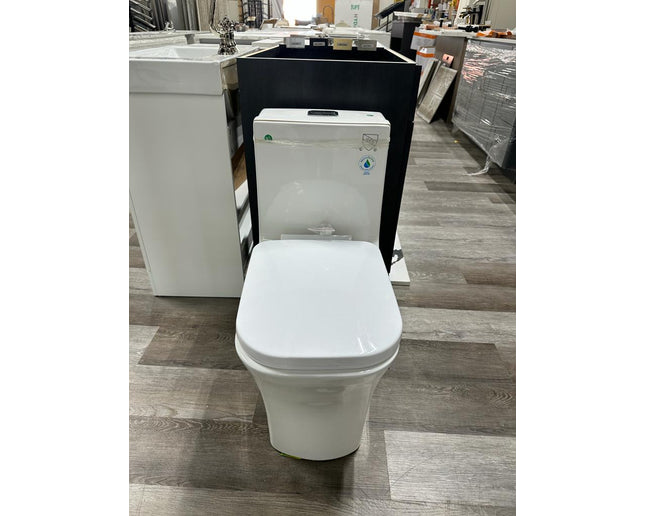 Dual flush Toilet