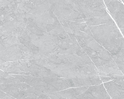 Glossy Grey Tile