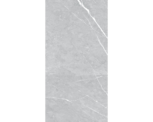 Glossy Grey Tile
